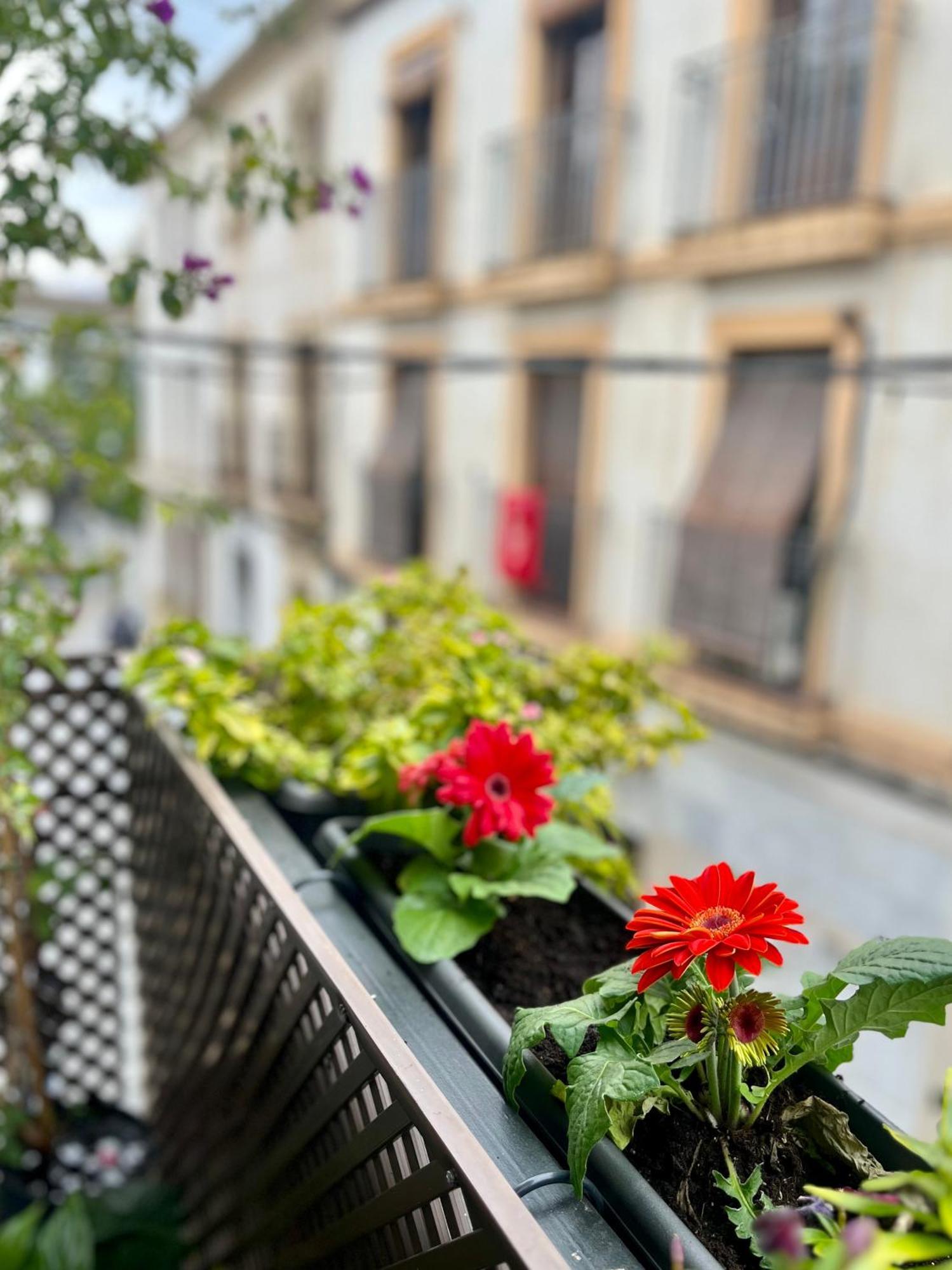 Apartamento La Casa De Char Córdoba Exterior foto